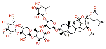 Cladoloside F2